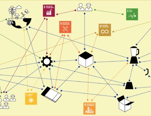 Strategie aziendali sostenibili: responsabilità condivisa e innovazione